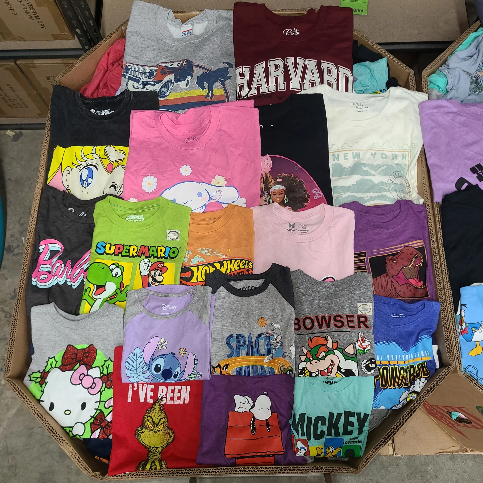 Licensed Graphic Tees Wholesale Lot with 700 brand-new licensed graphic T-shirts and sweatshirts in mixed kids' and adult sizes.