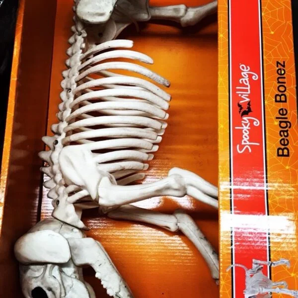 Halloween Party Pallets with 480 wholesale Halloween items per pallet